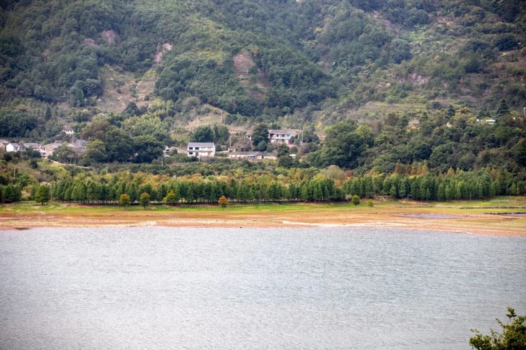 宁波这条盘山公路美得醉人!头上开着小火车,还有色彩斑斓的水库湿地!