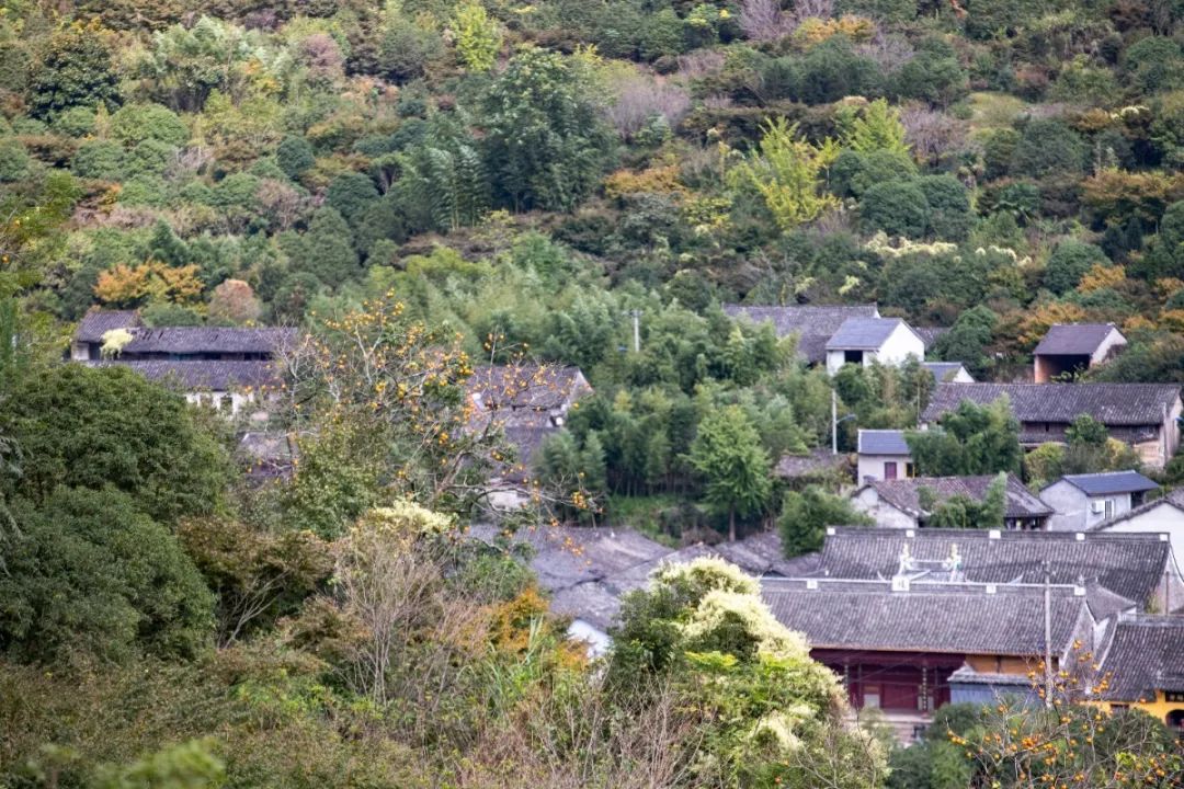 宁波这条盘山公路美得醉人!头上开着小火车,还有色彩斑斓的水库湿地!