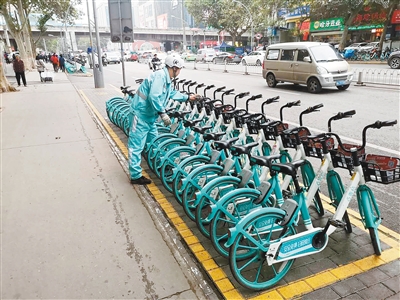 共享单车整齐停放在专门区域。