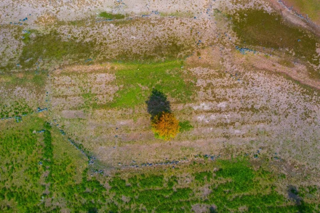 宁波这条盘山公路美得醉人!头上开着小火车,还有色彩斑斓的水库湿地!