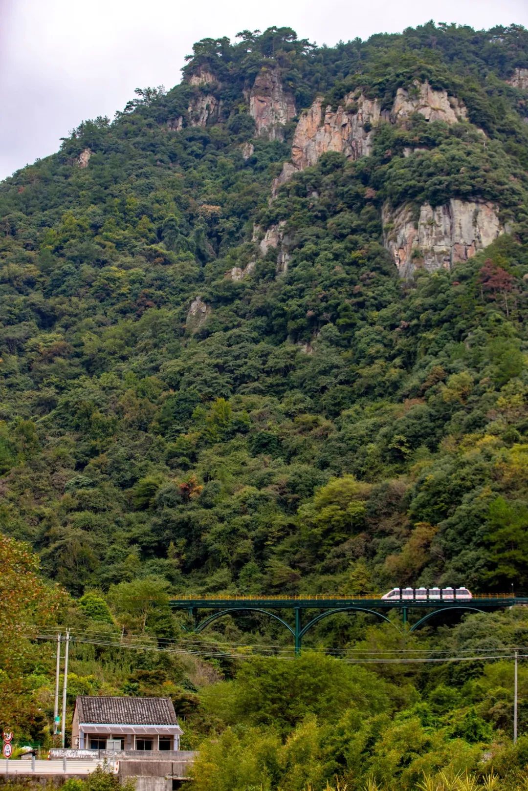 宁波这条盘山公路美得醉人!头上开着小火车,还有色彩斑斓的水库湿地!