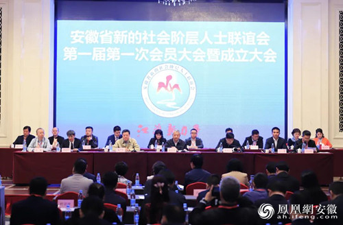 安徽省新的社会阶层人士联谊会正式成立 吴昊当选副会长