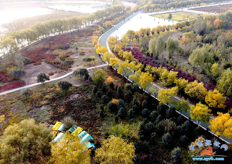 身披五彩“外衣” 张掖这个公园美出新高度