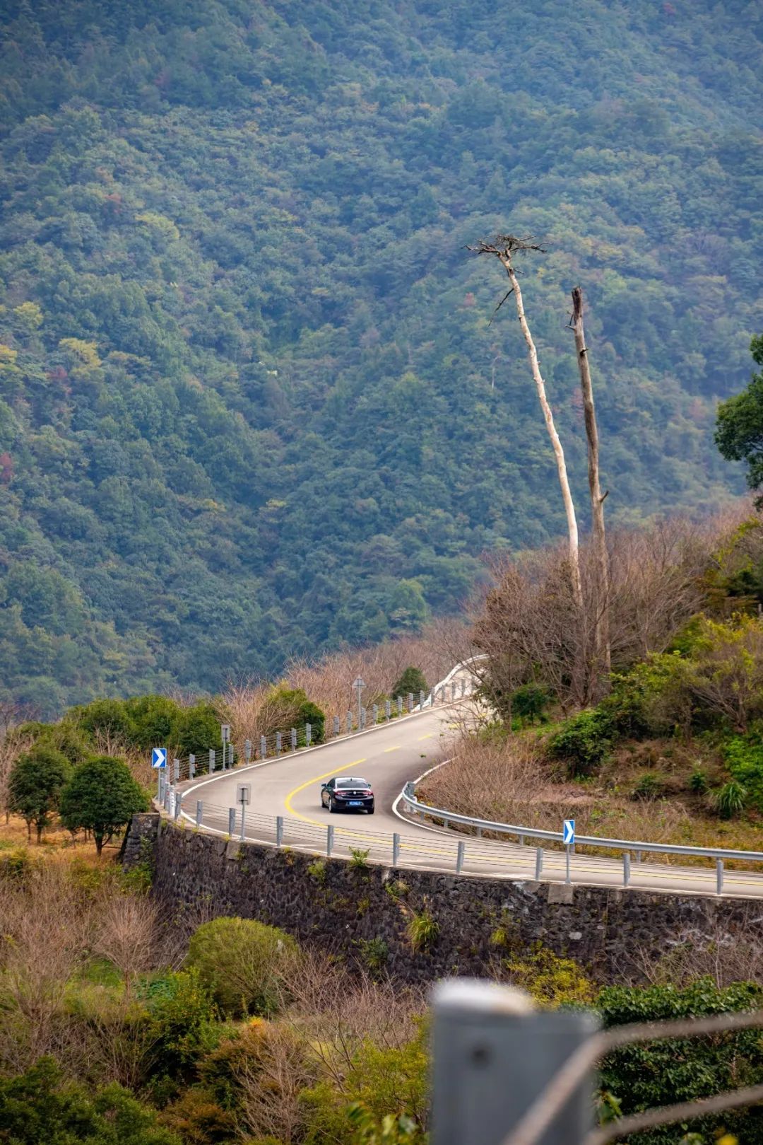 宁波这条盘山公路美得醉人!头上开着小火车,还有色彩斑斓的水库湿地!