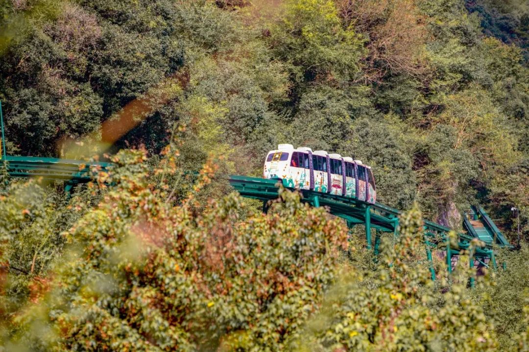 宁波这条盘山公路美得醉人!头上开着小火车,还有色彩斑斓的水库湿地!