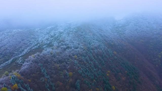 当分水岭遇见秋色 油画般的美景醉人