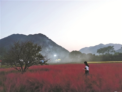 历史上无数文人墨客在四明大地留下了一首首脍炙人口的诗篇