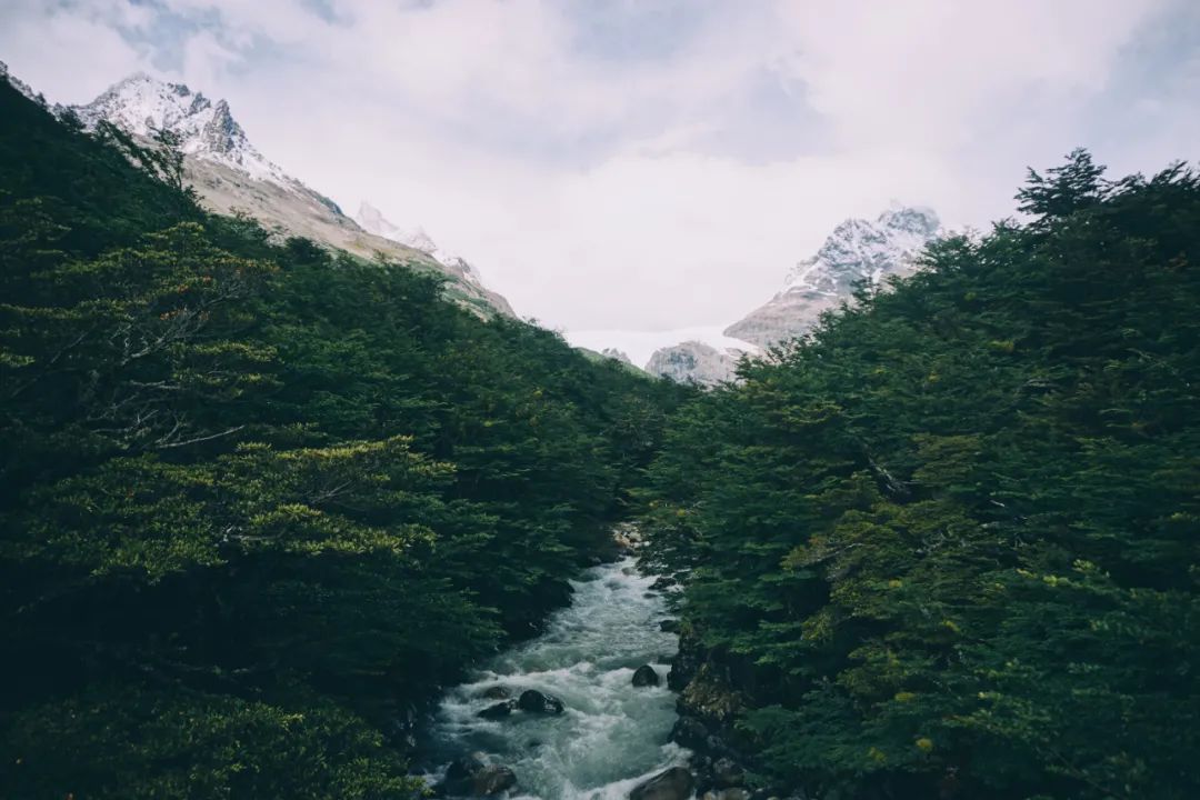 Photo | Unsplash@Willem Shepherd