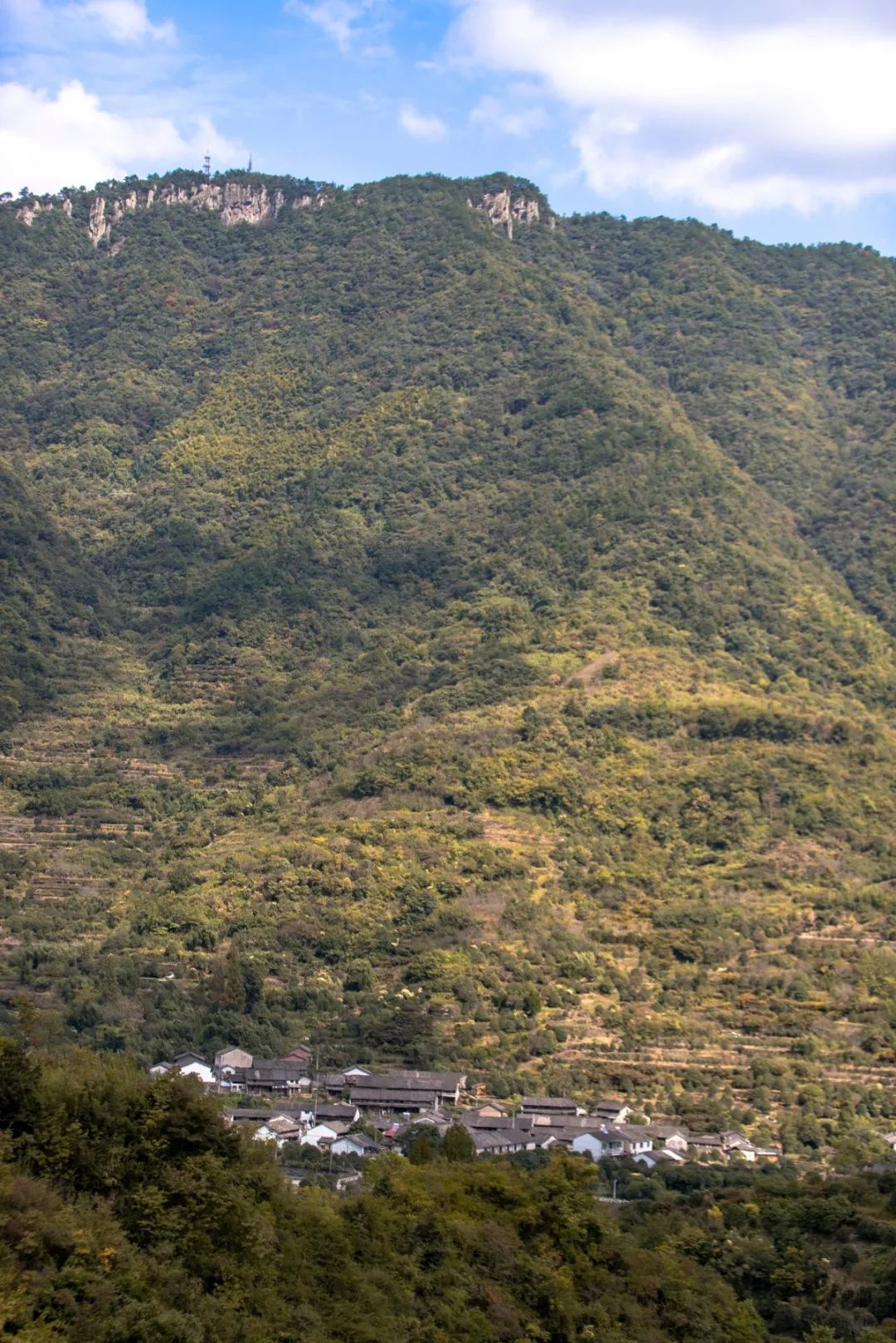 宁波这条盘山公路美得醉人!头上开着小火车,还有色彩斑斓的水库湿地!