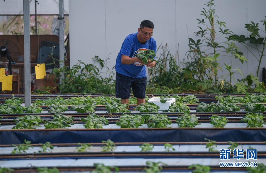 （经济）（1）浙江湖州：推广绿色生态农业 助力现代农业发展