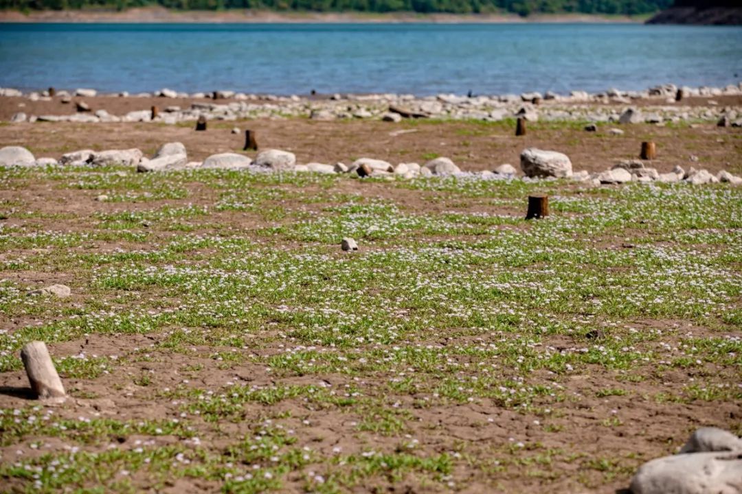 宁波这条盘山公路美得醉人!头上开着小火车,还有色彩斑斓的水库湿地!
