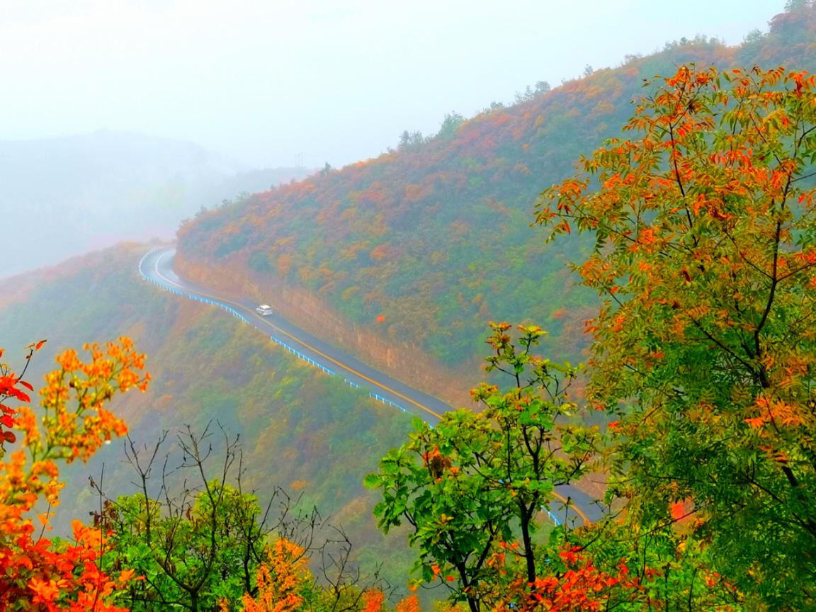 河南澠池第八屆紅葉文化旅遊節圓滿開幕