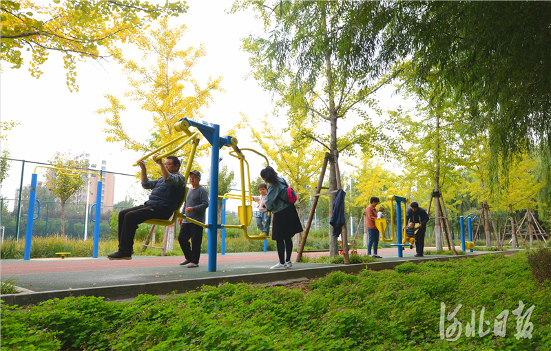 2020年10月14日，河北省临漳县全民休闲健身公园内，居民在健身。通讯员李海波摄影报道