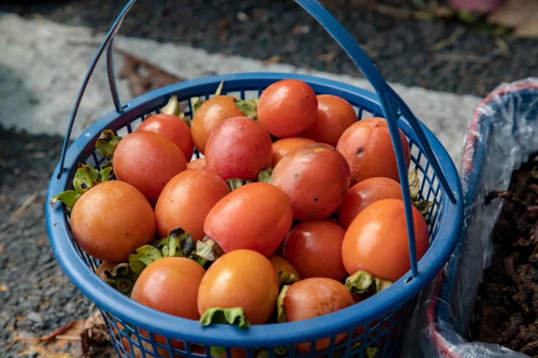 宁波人爱吃的这种水果上市了个头最小的品种竟是公认口感最好的你吃过