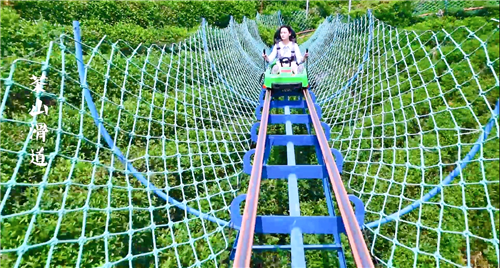 浪漫金秋邂逅七彩花田漫步竹林品美味竹宴西九华山打卡走起