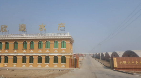 【迎曹妃甸第三届河豚节】创新务实的曹妃甸造就国内最大河豚养殖基地