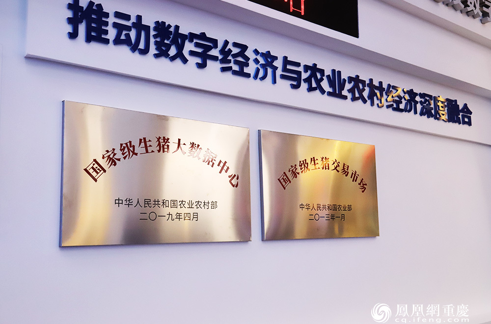 国家级重庆(荣昌)生猪大数据中心，是2019年4月经农业农村部批准设立的生猪全产业链大数据中心