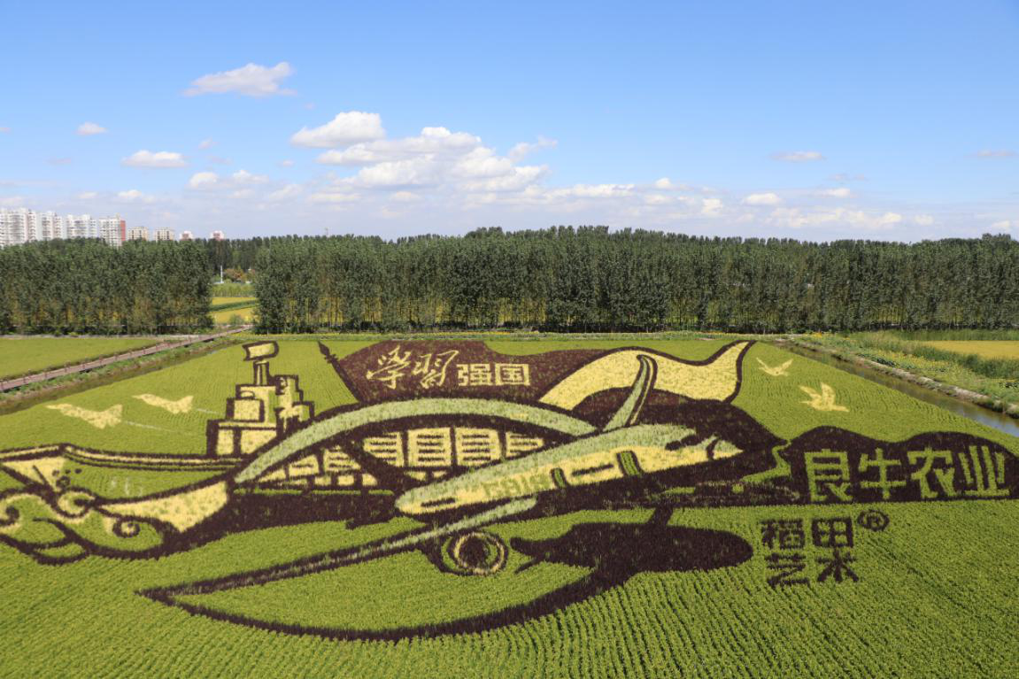 【迎曹妃甸第三届河豚节】曹妃甸河豚文化，你了解多少？