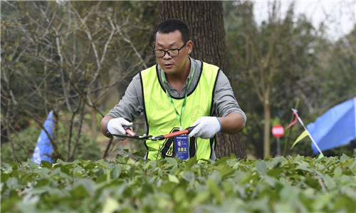 安徽省举办首届风景园林行业职业技能大赛