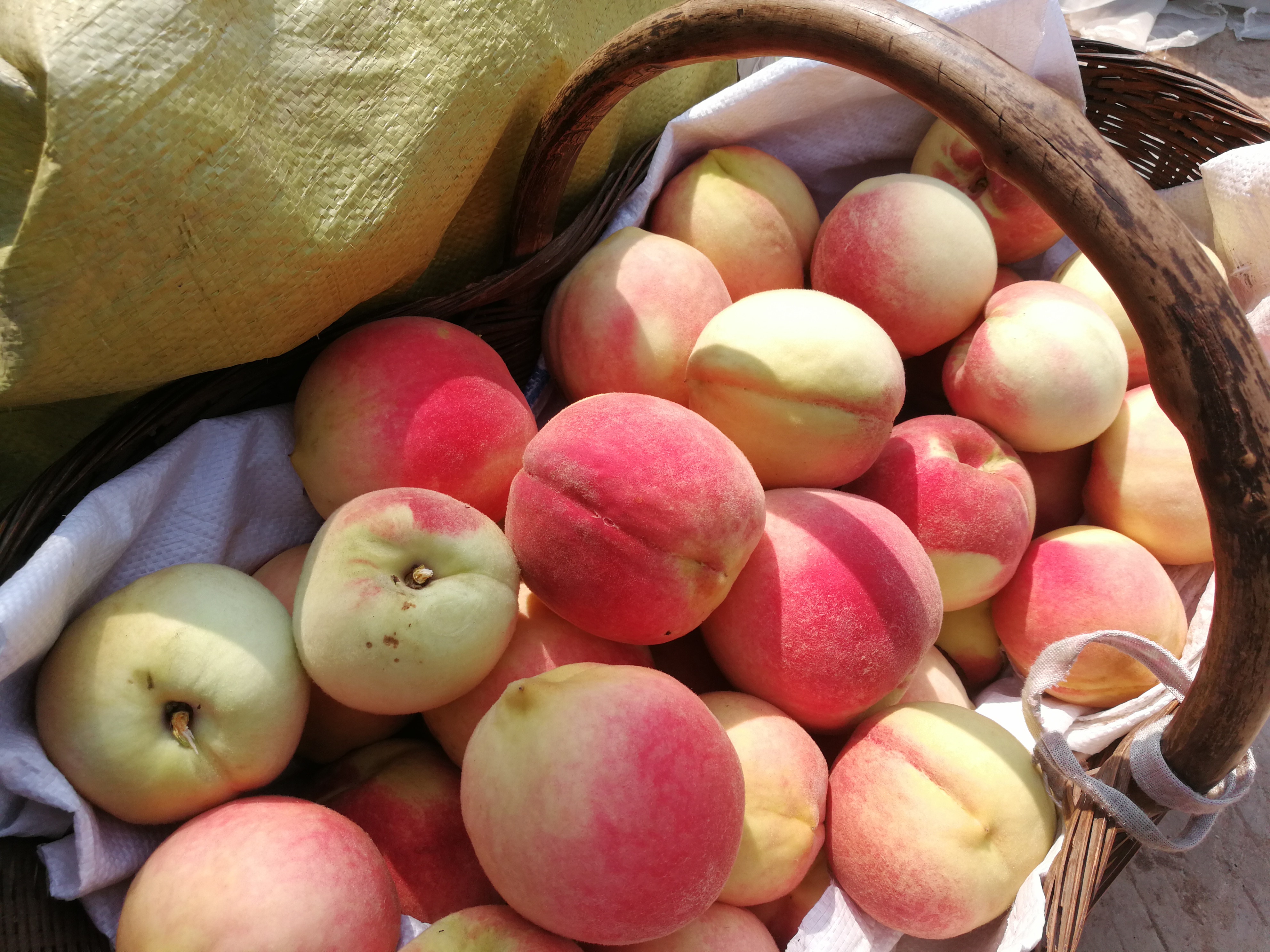 河南鲁山网红直播带贫深山冬桃俏销