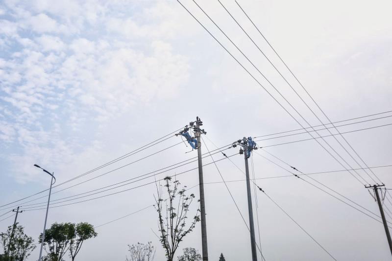 国网宁波市鄞州区供电公司：未雨绸缪 全力保障居民用电安全