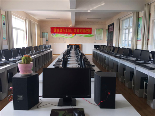 定远县炉桥镇第二小学教育集团开展“文明上网，健康成长”的宣传活动