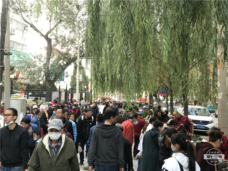 入秋以来兰州蔬菜价格一路“升温”，为啥？