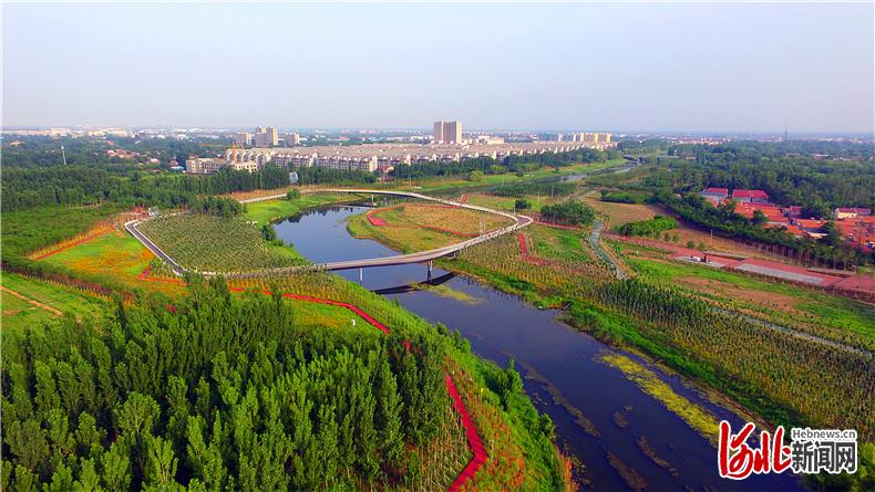 沧州运河景观带2021图片