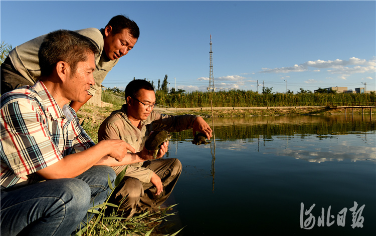 7月10日，在巴州博湖县一个甲鱼养殖基地，河北援疆干部（左）正在给养殖户讲解甲鱼养殖传染病防治知识。巴州日报记者陈剑飞摄