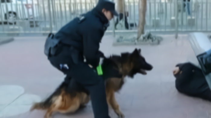 内蒙古警犬配备专业跑步机，训导员：加强体能