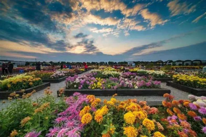 在南京·读秋 | 寻找最美溧水,孔雀城推荐这些地方给你,去哪里赏秋由