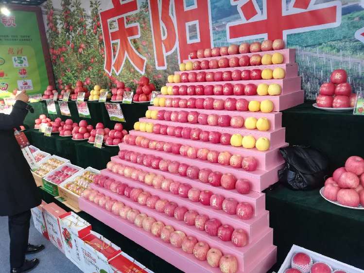 实力担当!宁县签逾四千万苹果销售大单