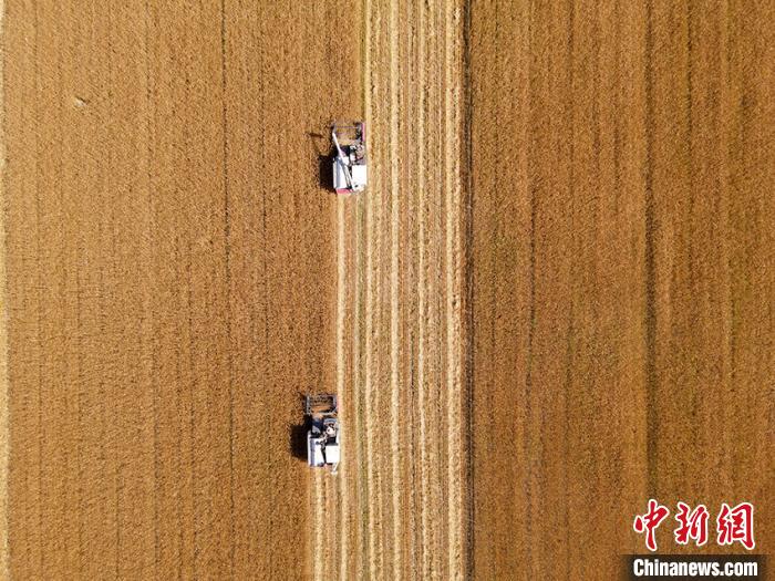 2021年凤凰县gdp_湘西凤凰县1996年图片