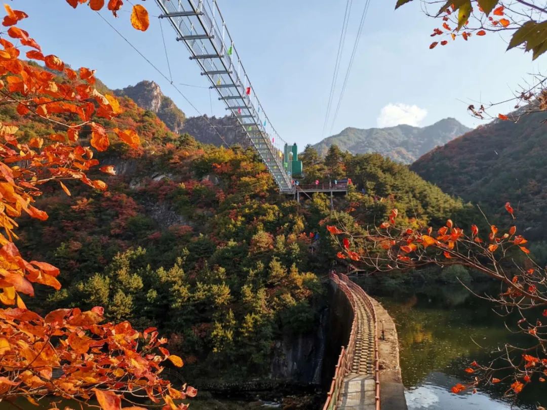 赏红叶 正当时 来卧龙谷感受下 限量版 秋色吧 凤凰网