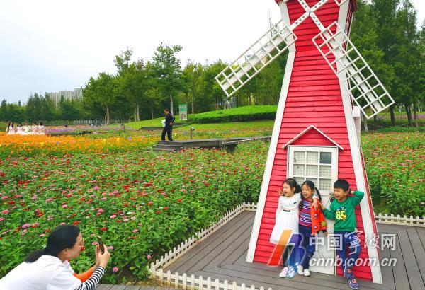 10月18日，游人徜徉在花海里流连忘返，赏花拍照。眼下，宁波市东部生态走廊种植的成片百日菊、格桑花、向日葵等各种花卉进入盛开期，争奇斗艳，形成五彩斑斓的秋日美景，吸引众多游客和摄影爱好者慕名前来打卡观光。图片文件名为：市东部生态走廊花海五彩斑斓  呈现醉人秋日美景1至12。         周建平 摄