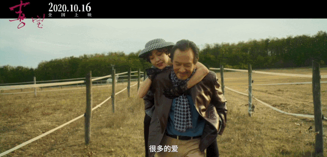 《喜宝》被拍成年度大烂片,亦舒作品为什么那么难改？