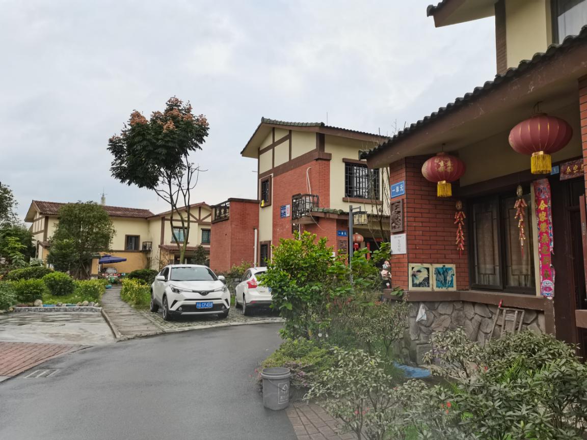 双流彭镇小而美的乡村里处处都是幸福的场景