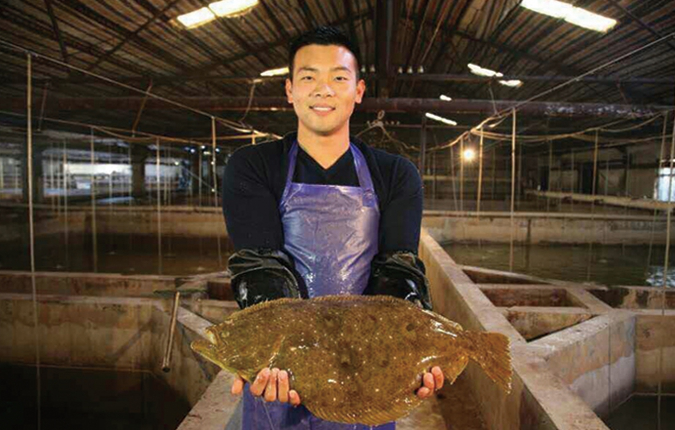 【迎曹妃甸第三届河豚节】创新务实的曹妃甸造就国内最大河豚养殖基地