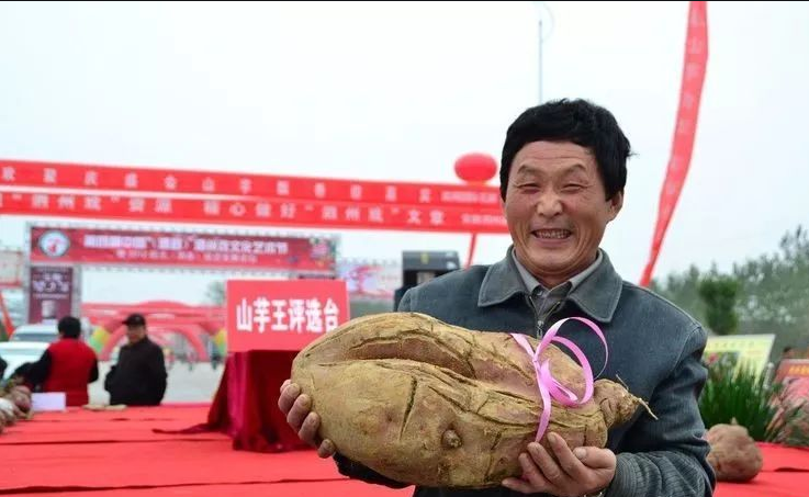 安徽泗县：“山芋之乡”兴起粉丝经济
