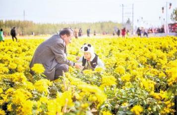 肥乡区促进菊花产业一二三产融合，发展科普研学、乡村旅游等多种业态，增强产业市场竞争力。
