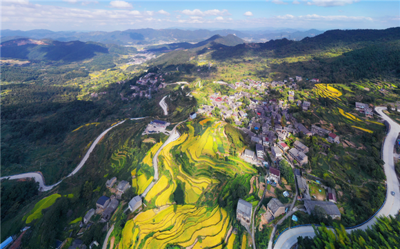 食味知秋三门稻香柿红板栗甜