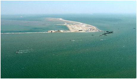 【迎曹妃甸第三届河豚节】曹妃甸河豚文化，你了解多少？