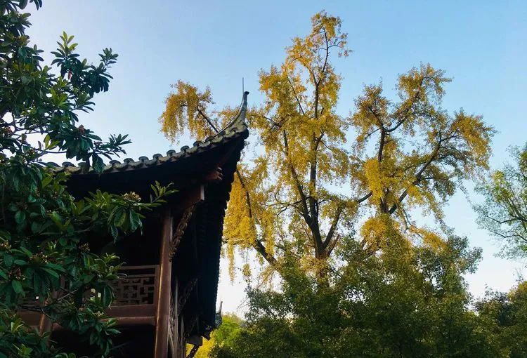 唐李公青莲祠