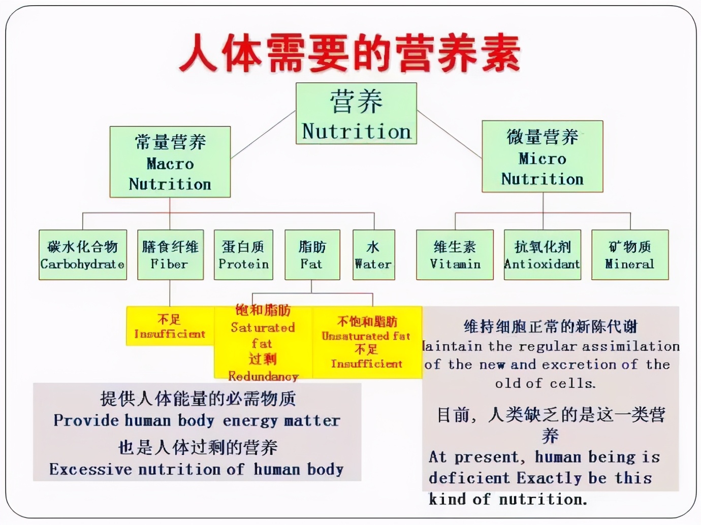 巭驼杂说,酒说之一:白酒究竟是不是粮食的精华?