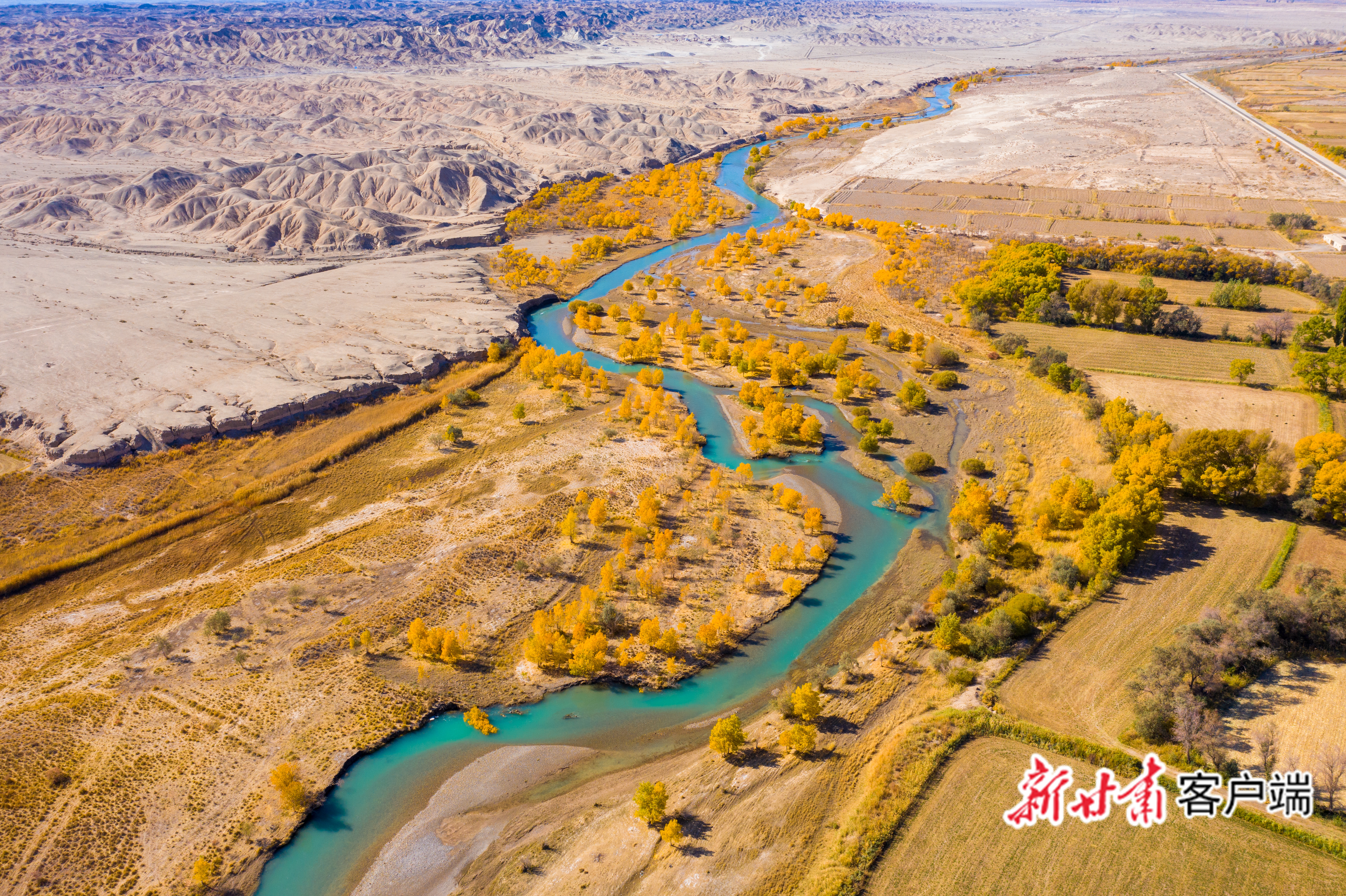金秋十月,河西走廊多了一道亮丽风景