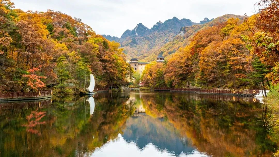重阳登高处 赏秋白云山