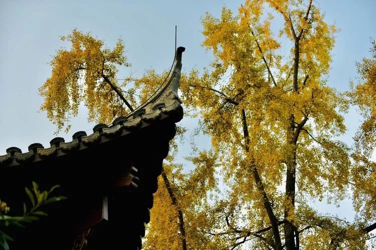 唐李公青莲祠