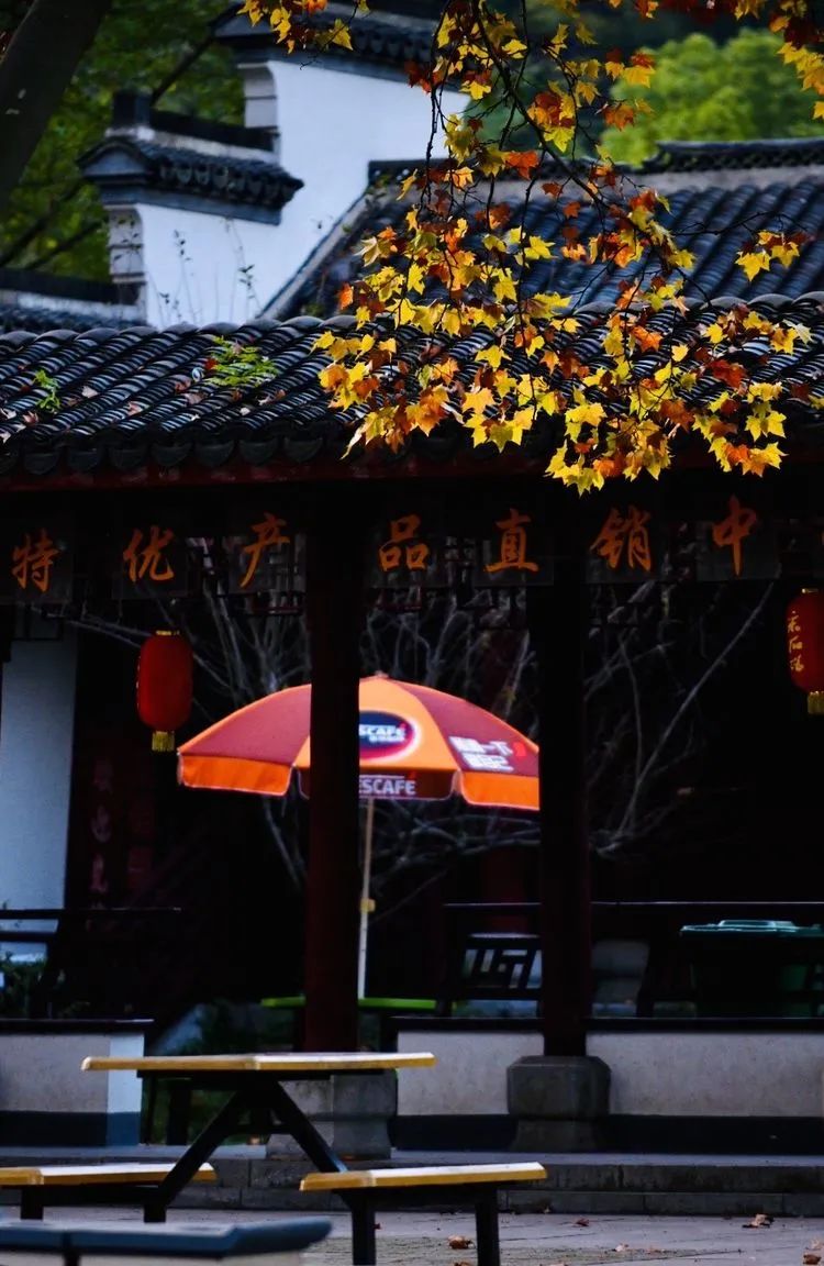 和县丰乐古道又名彩虹大道，被誉为最美乡村公路。正值深秋十月，沿途晚稻田一片金灿灿，半月湖水青翠欲滴，车友们一边享受着绿水青山，一边通过对讲机开始向当地文旅部门咨询，古道长多少公里，沿途有哪些适合车队停车点。含山县伍子胥古道全长7.5公里，连接古韶关和华阳洞，沿途有人文、自然等景点50多处，穿行其间俨然世外桃源。