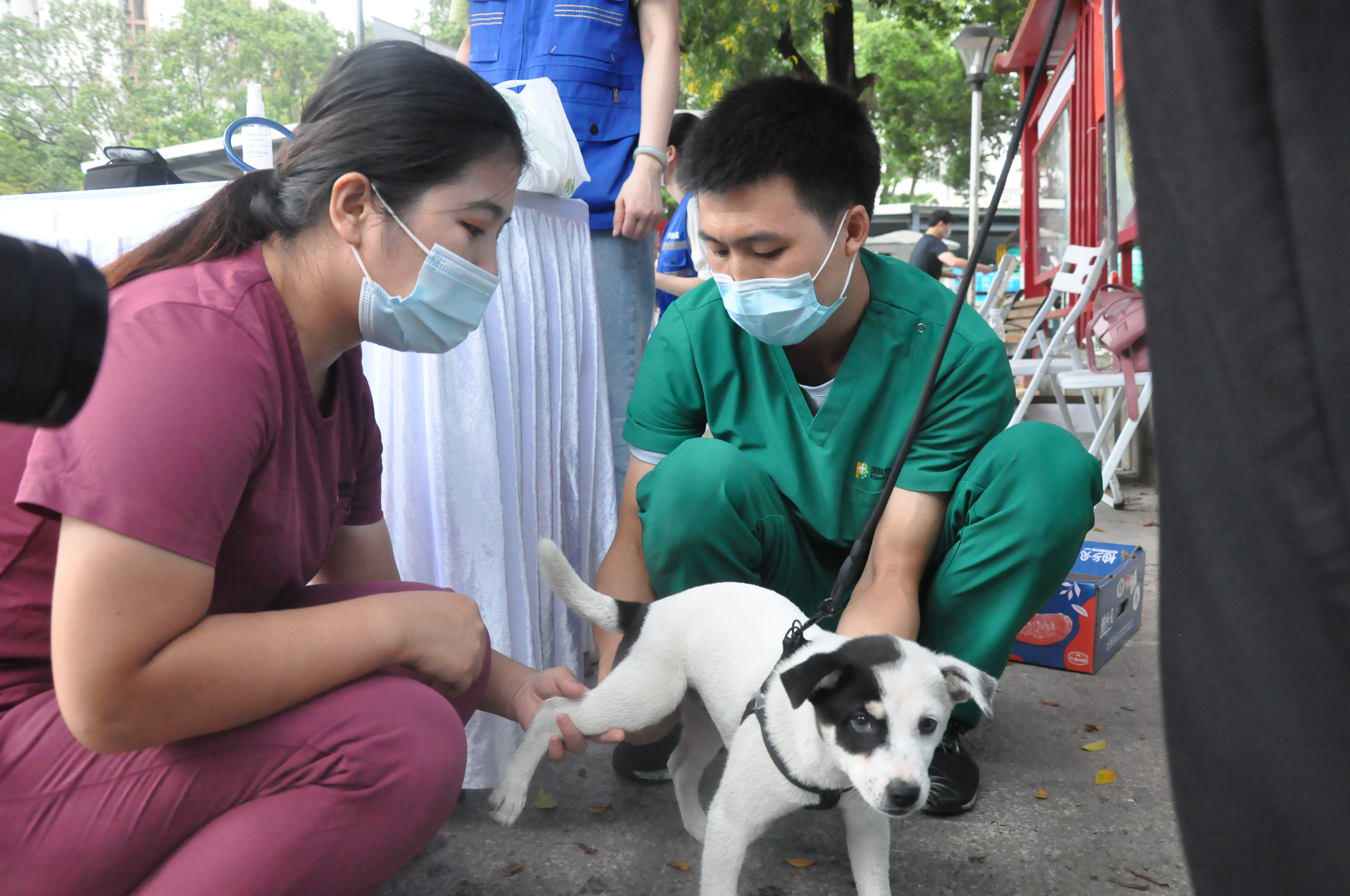 深圳罗湖举办犬类狂犬病强制免疫宣传活动 降低狂犬病发生风险