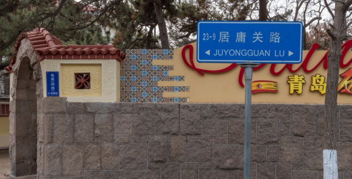 细数青岛那些美爆了的银杏古树，选一处打卡吧！